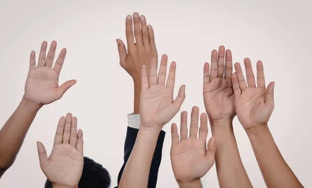 Sezione Partecipanti